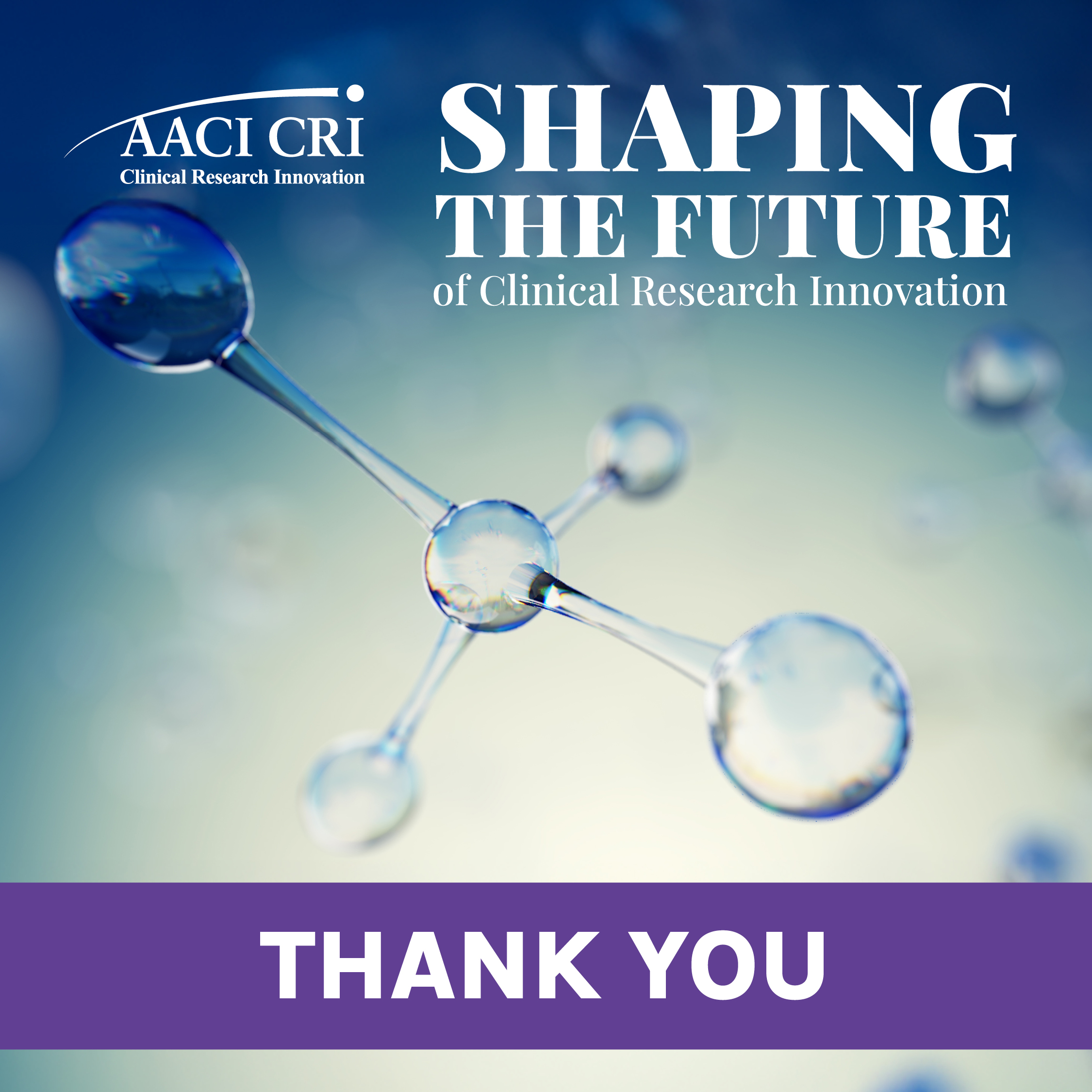 Thank You: 18th Annual AACI CRI Meeting