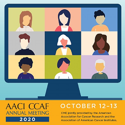 ccaf requirements 2020