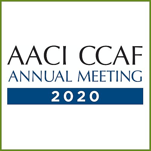 ccaf requirements 2020