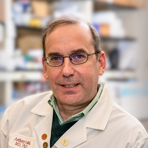 Headlines | Dr. Anthony Letai to Lead National Cancer Institute